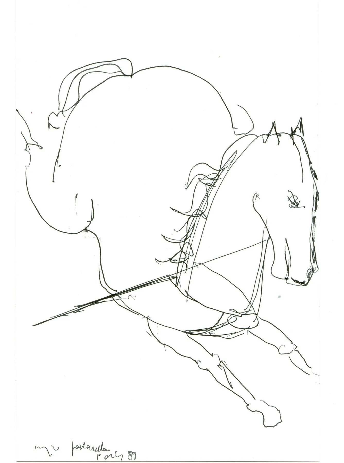 Cavallo che Esce dal Quadro