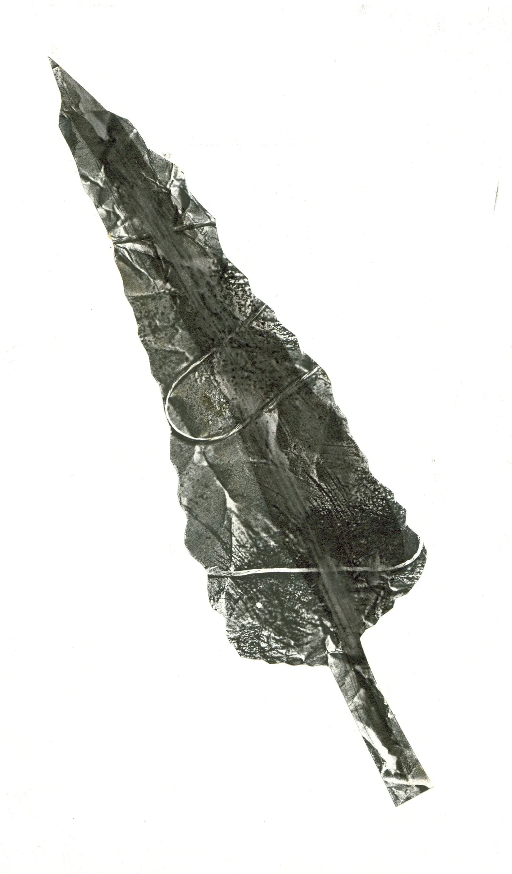 L'Albero Inclinato