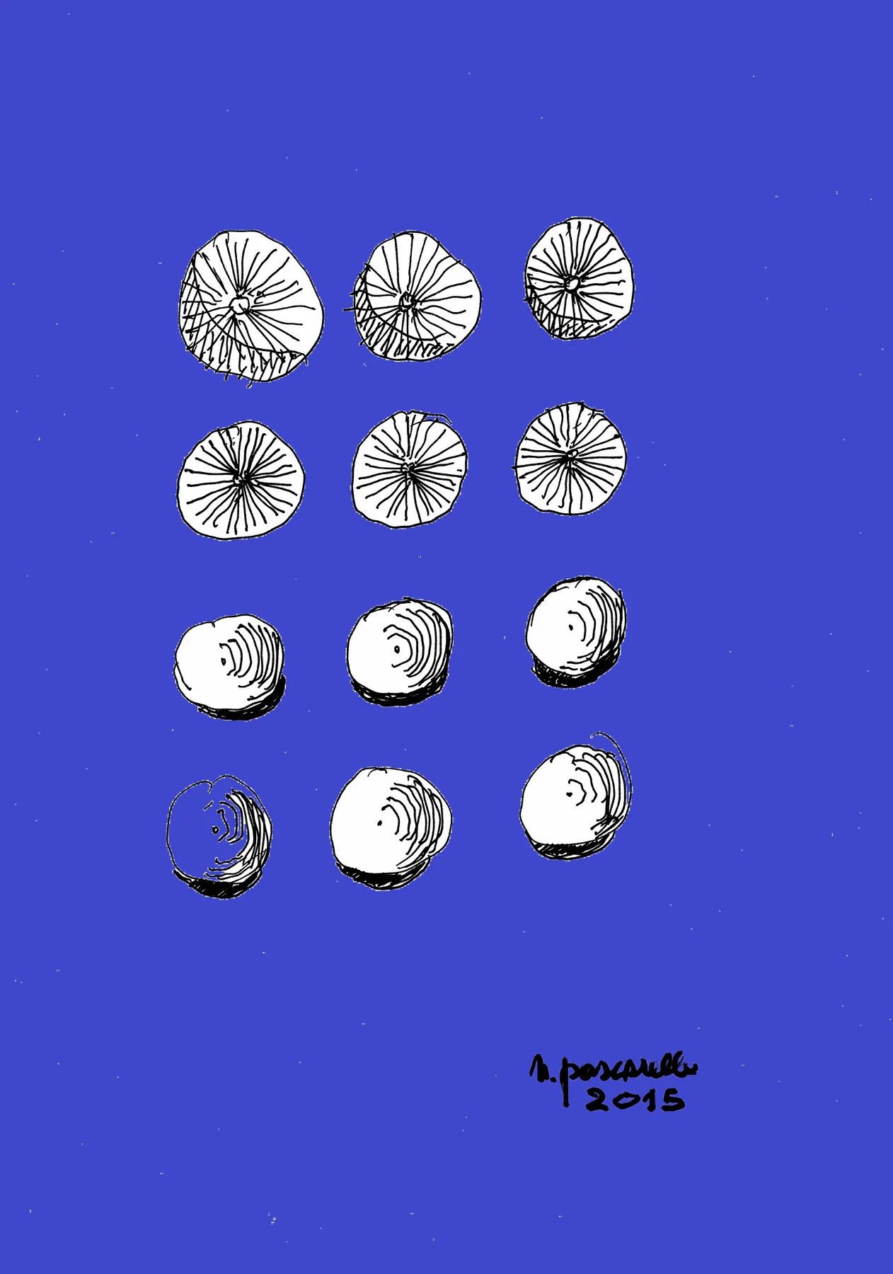 Globulare Negativo-Positivo