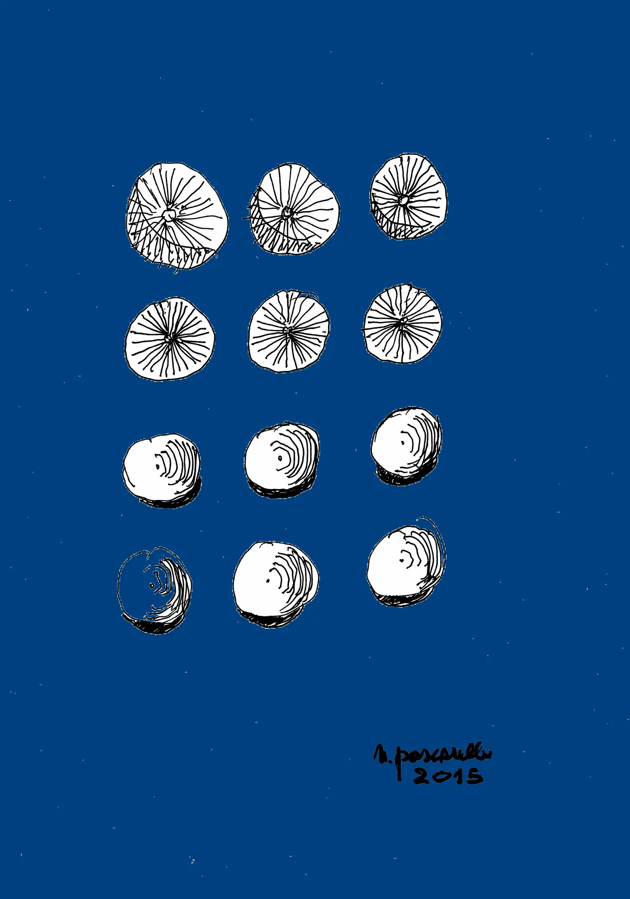 Globulare Negativo-Positivo
