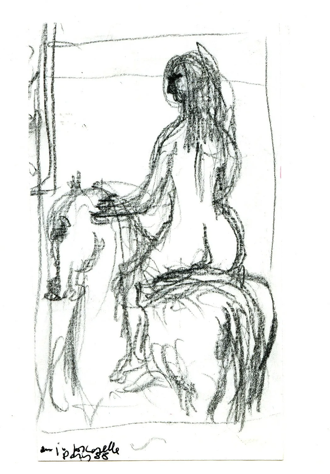 Venere Amazzone