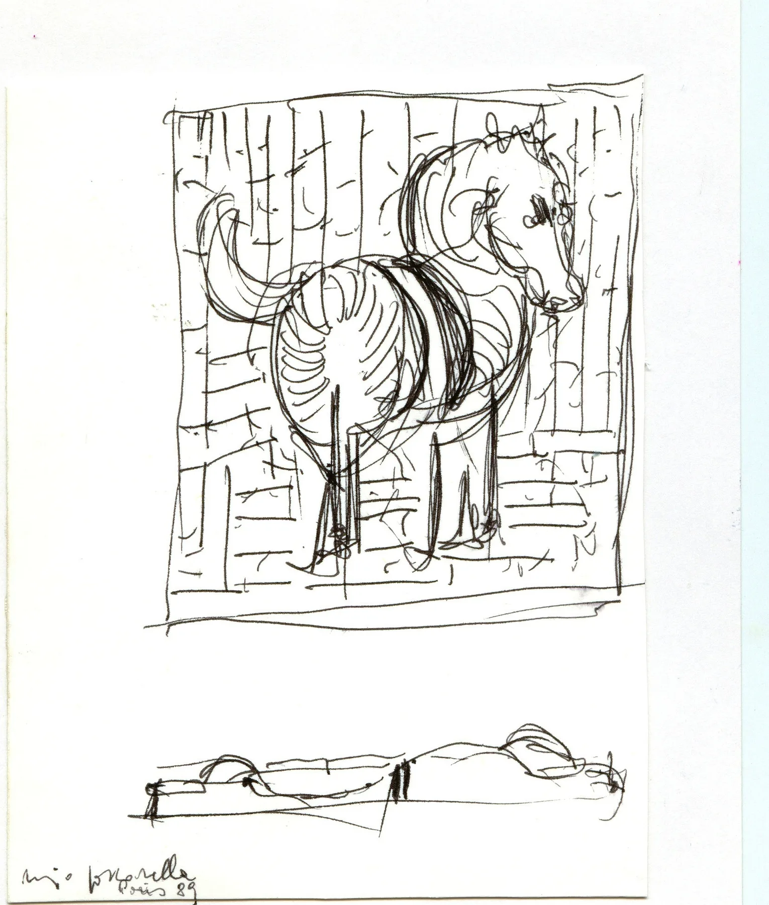 Progettualità di un Cavallo