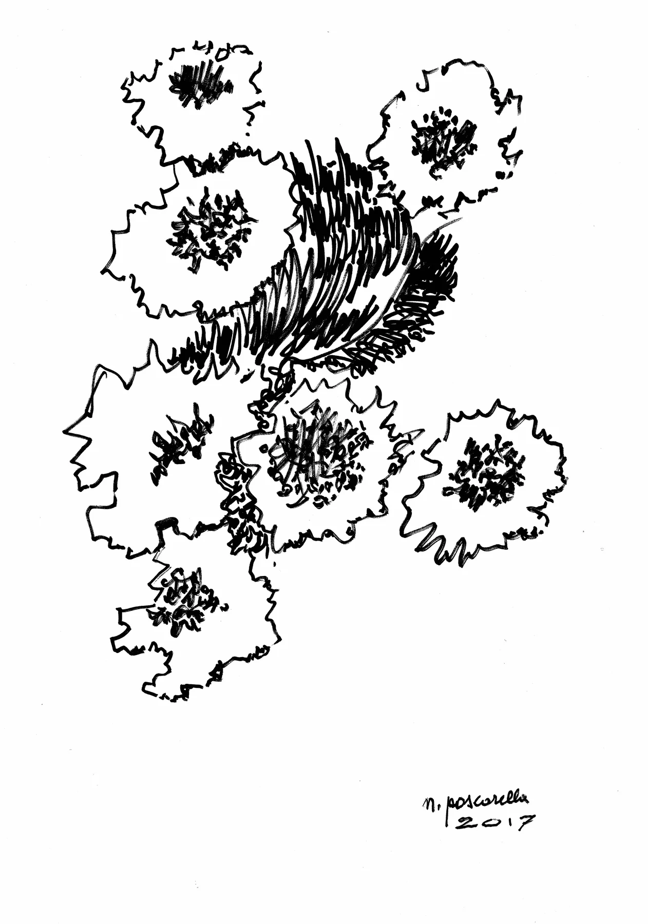 Fiori Di Neutroni