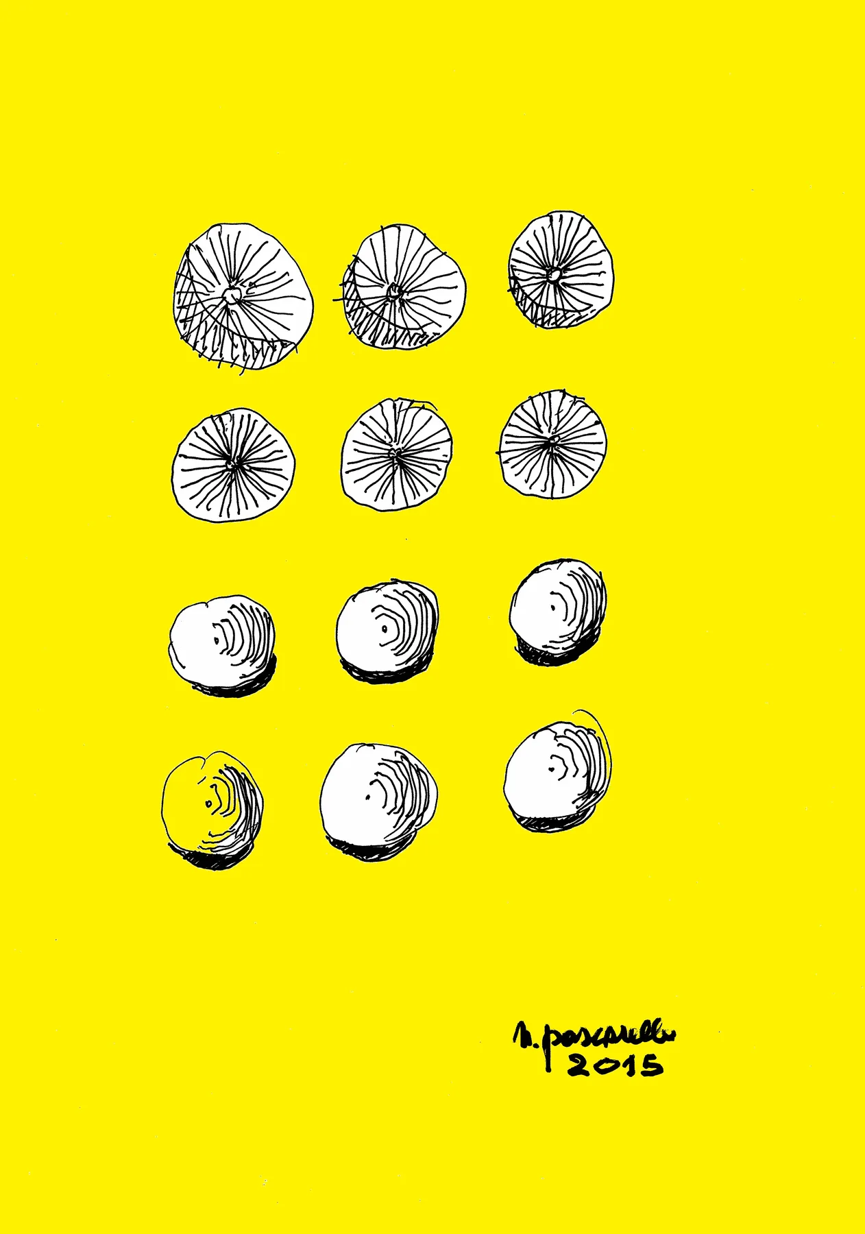 Globulare Negativo-Positivo