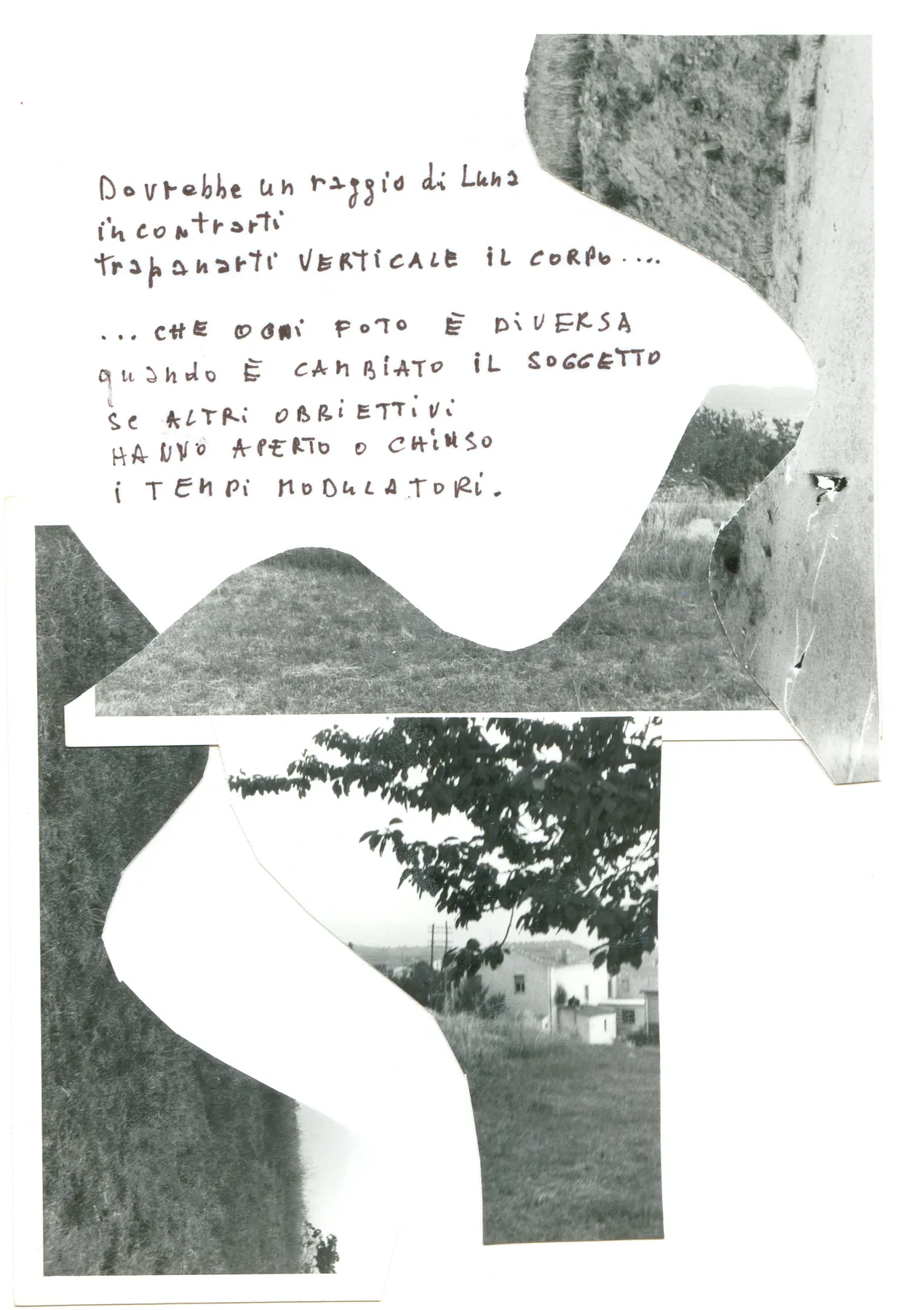 Reflex Circolare