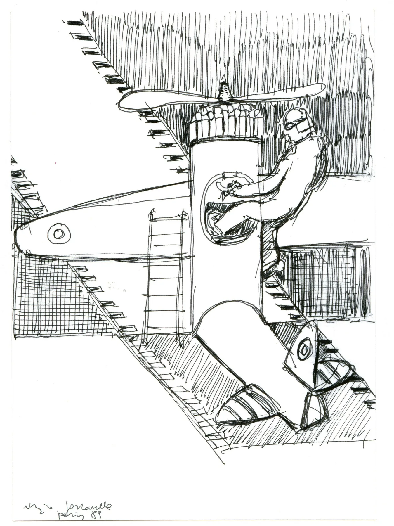 Aereo Vero con Coda Piegata