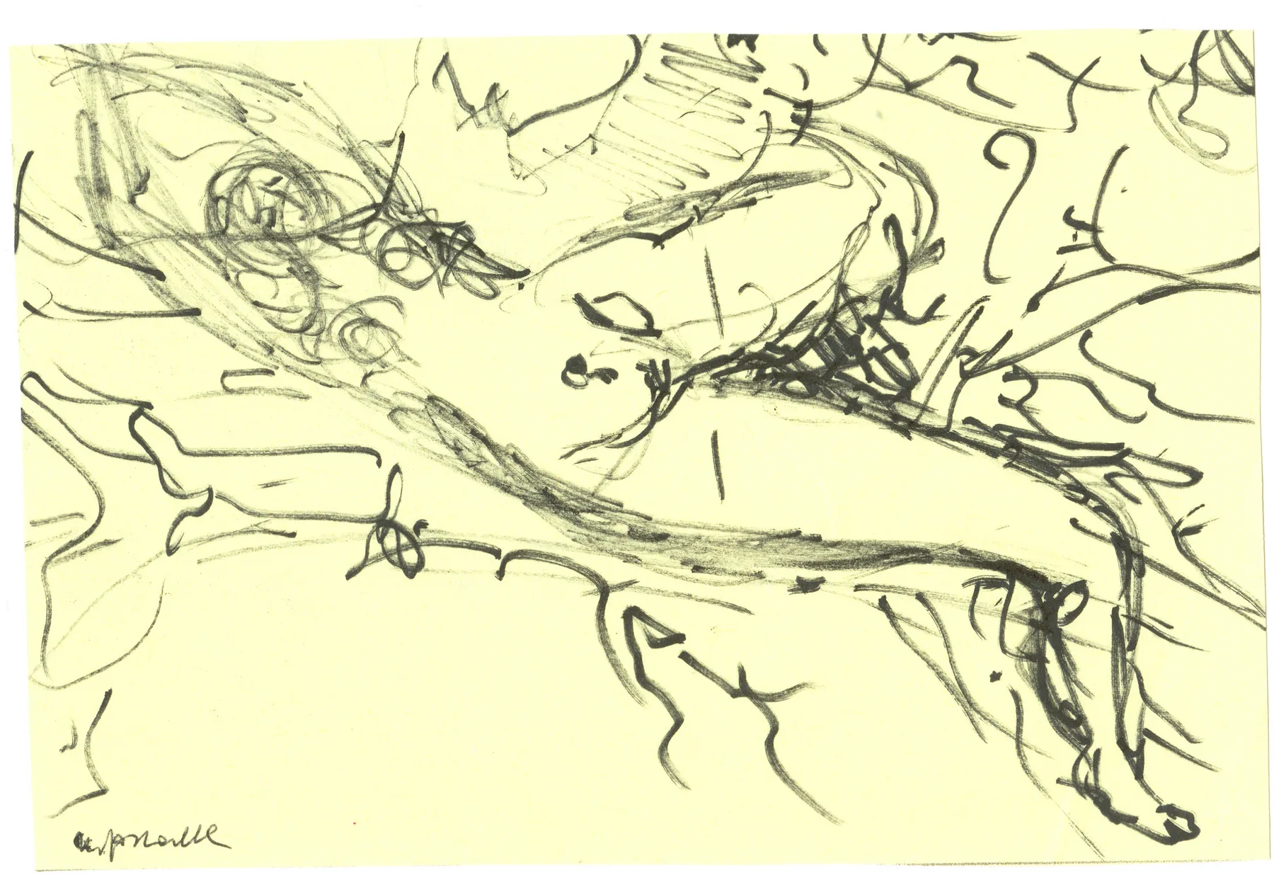 Figura Dormiente