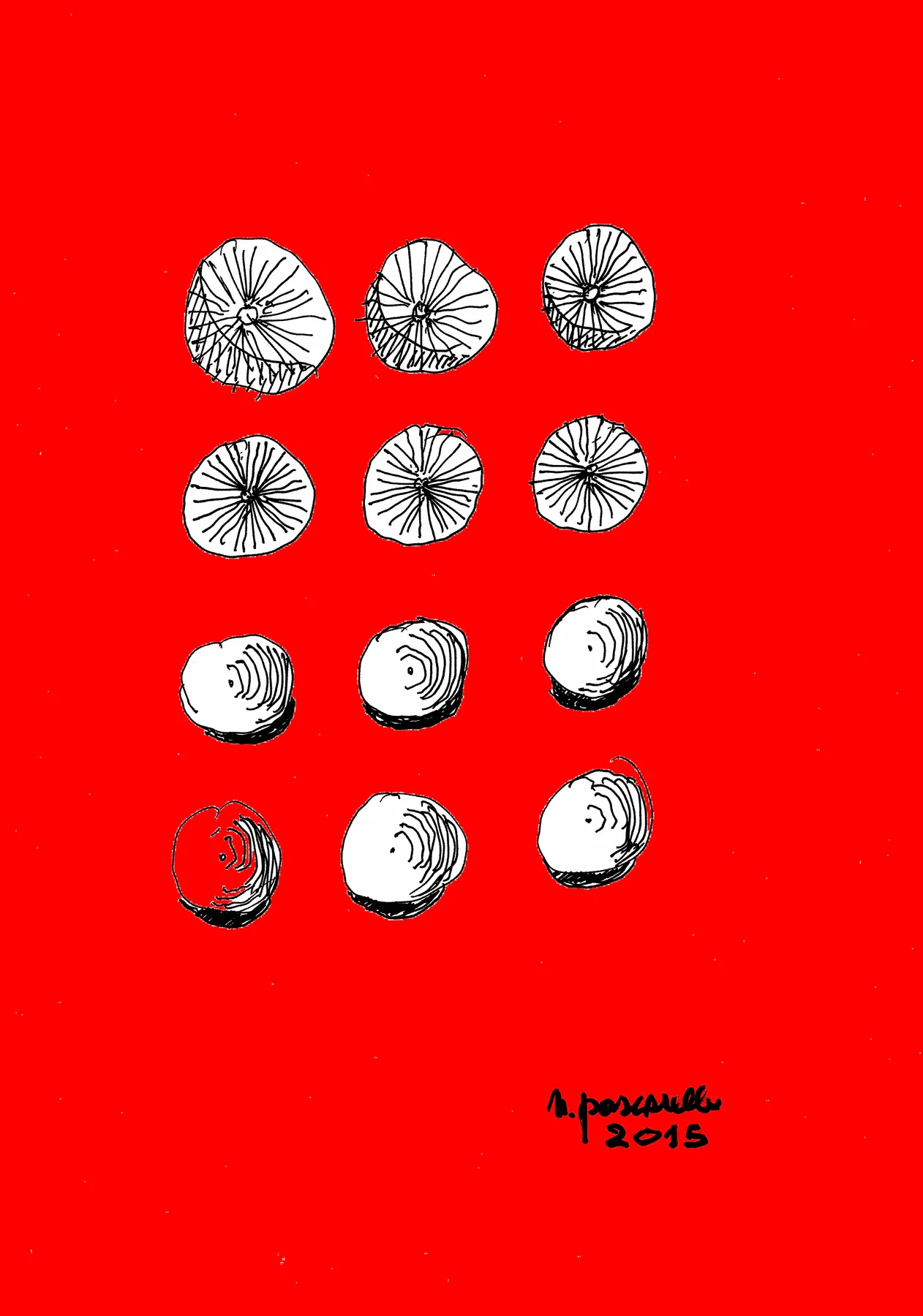 Globulare Negativo-Positivo