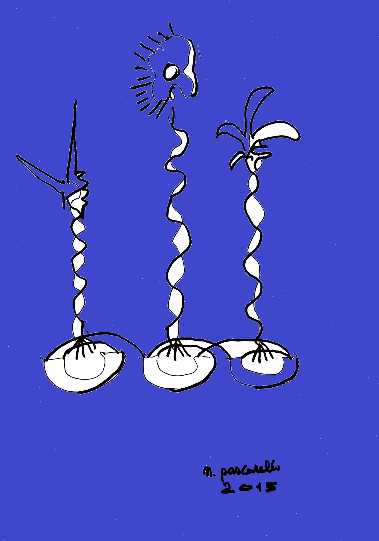 Altri Fiori