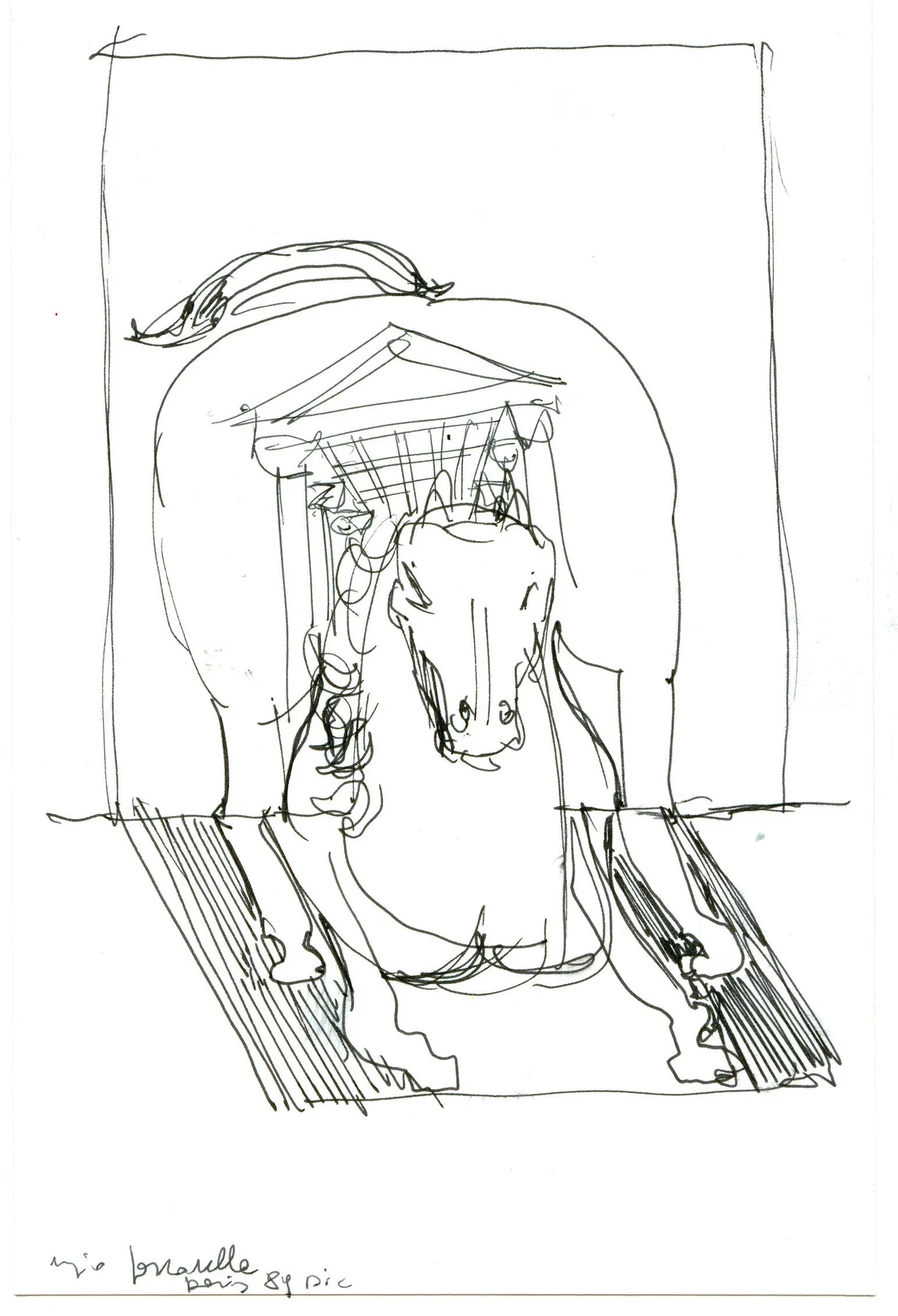 Cavallo Uscito dalla Tela