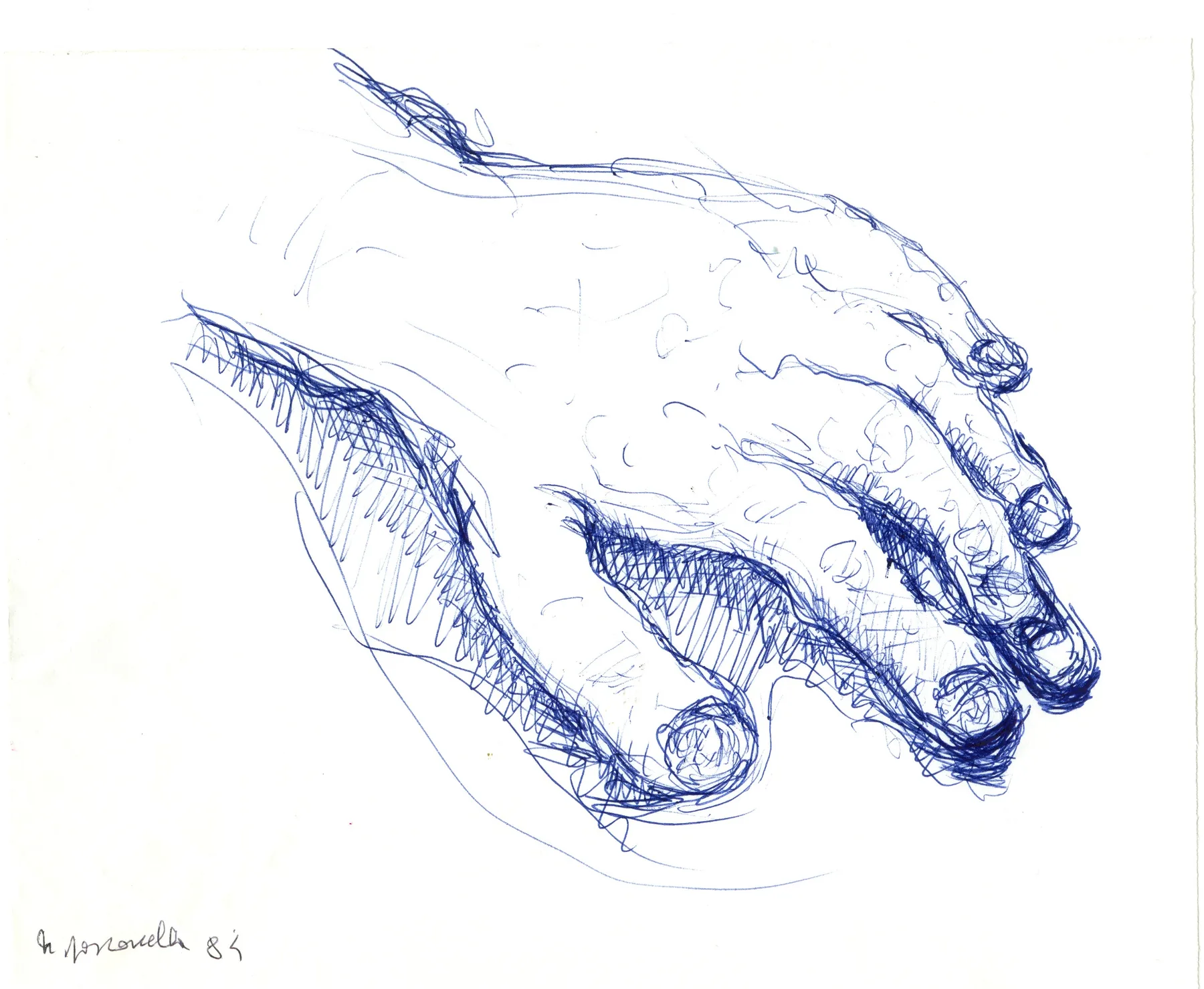La Mano Sinistra di Nunzio Polifemo
