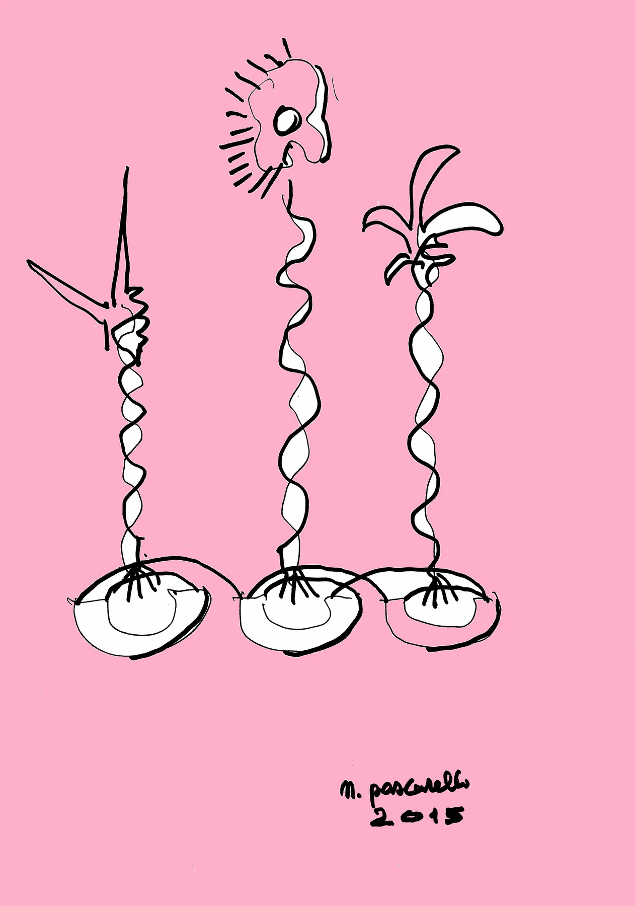 Altri Fiori